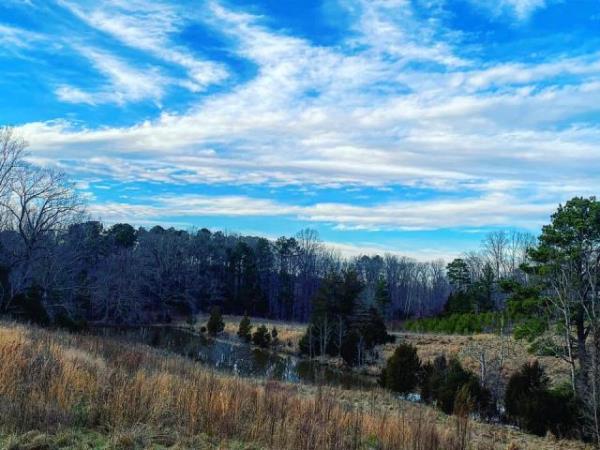 Beautiful Raleigh spots for photography and Instagram