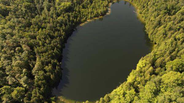 Trees surround Crawford Lake in Milton, Ontario., on Monday, July 10, 2023. A team of scientists is recommending the start of a new geological epoch defined by how humans have impacted the Earth should be marked at the pristine Crawford Lake outside Toro<em></em>nto in Canada. (Cole Burston/The Canadian Press via AP)