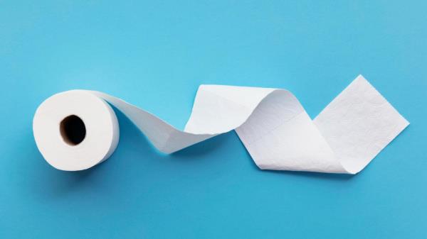 A single roll of toilet paper unrolled on a blue background (Adobe Stock)