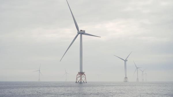 Turbines at the Beatrice offshore wind farm near Wick, Scotland on Aug. 8, 2022. Beatrice has 84 turbines over 50 square miles of the North Sea..(Francesca Jones/The New York Times)