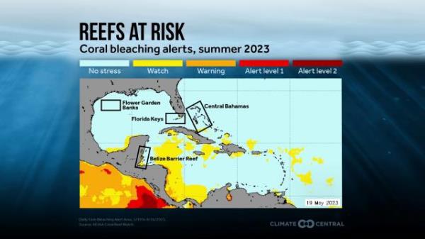 Reefs at risk May