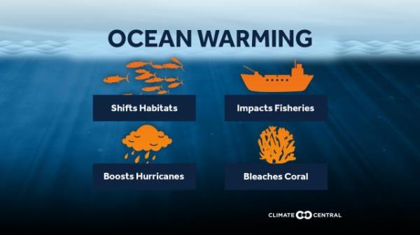 Record ocean heat