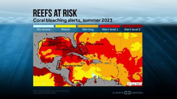 Reefs at risk August